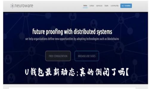 U钱包最新动态:真的倒闭了吗?
