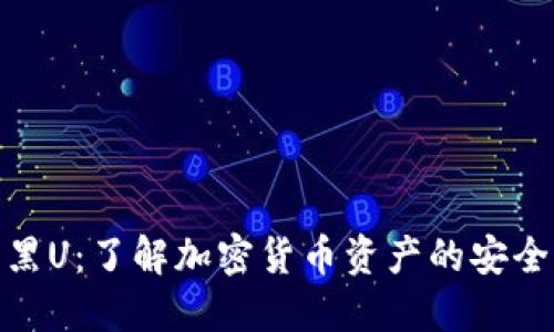 冷钱包与黑U：了解加密货币资产的安全性与风险