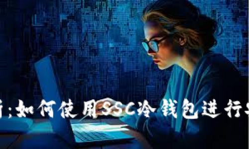 全面解析：如何使用SSC冷钱包进行安全存储