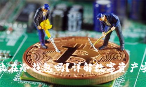 火币可以放在冷钱包吗？详解数字资产安全与管理