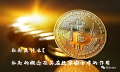 私匙是什么？私匙的概念及其在数字安全中的作