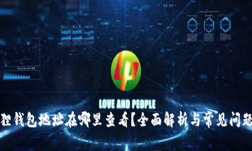 小狐狸钱包地址在哪里查看？全面解析与常见问题解答