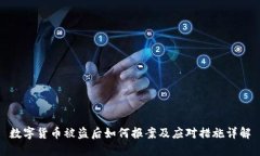 数字货币被盗后如何报案及应对措施详解