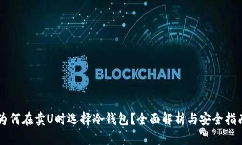 为何在卖U时选择冷钱包？全面解析与安全指南