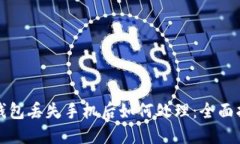 冷钱包丢失手机后如何处理：全面指南