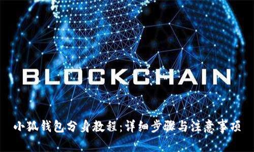 小狐钱包分身教程：详细步骤与注意事项