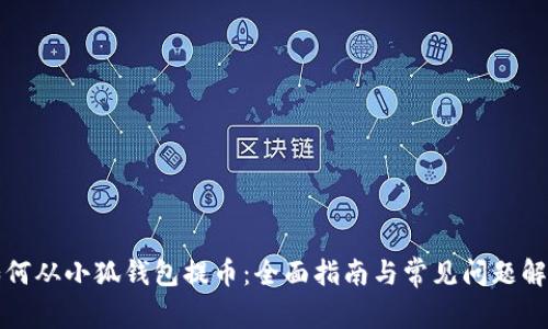如何从小狐钱包提币：全面指南与常见问题解析