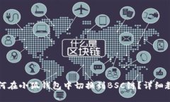 如何在小狐钱包中切换到BSC链？详细教程