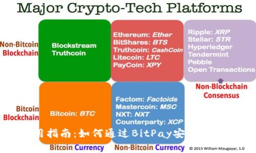 冷钱包使用指南：如何通过BitPay安全存储数字资产