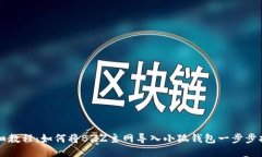 详细教程：如何将BZZ主网导入小狐钱包一步步指