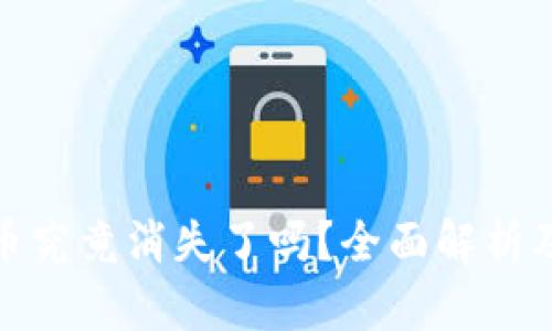 小狐钱包币究竟消失了吗？全面解析及应对策略
