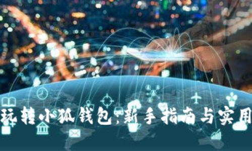 如何玩转小狐钱包：新手指南与实用技巧
