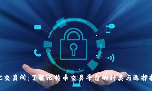 BTC交易所：了解比特币交易平台的种类与选择指南
