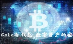 全面解析Cobo冷钱包：数字资产的安全守护者