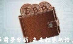 冷钱包币前景分析：未来投资的潜力与风险