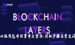 如何在小狐钱包中设置中文字体：详细步骤与常