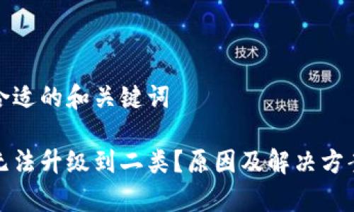 提供一个合适的和关键词

数字钱包无法升级到二类？原因及解决方案全面解析