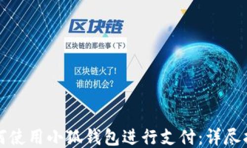 
如何使用小狐钱包进行支付：详尽指南