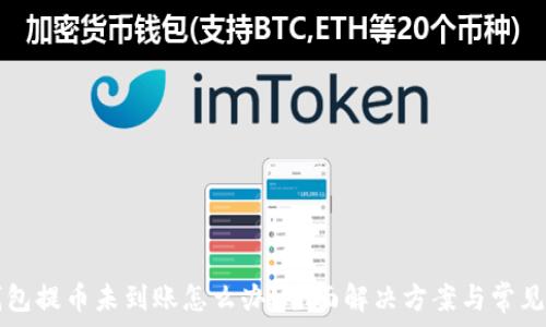   
  小狐钱包提币未到账怎么办？全面解决方案与常见问题分析