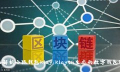 全面解析小狐钱包Klay:Klaytn生态的数字钱包选择