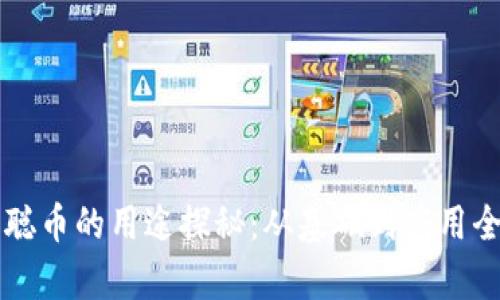 中本聪币的用途探秘：从基础到应用全解析