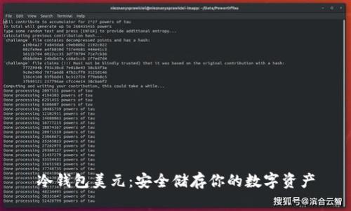 冷钱包美元：安全储存你的数字资产