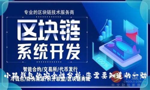 小狐钱包的安全性分析:您需要知道的一切