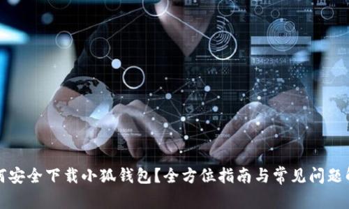 如何安全下载小狐钱包?全方位指南与常见问题解答