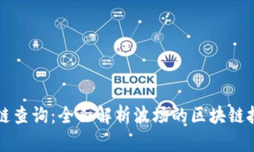 波场区块链查询:全面解析波场的区块链技术与应用