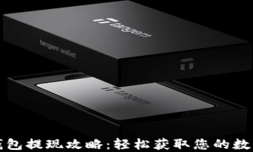 小狐钱包提现攻略:轻松获取您的数字资产