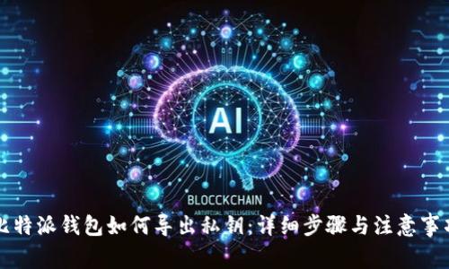 比特派钱包如何导出私钥:详细步骤与注意事项