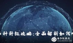 : 小狐钱包币种升级攻略:全面解析如何顺利进行
