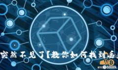 小狐钱包突然不见了?教你如何找到丢失的钱包