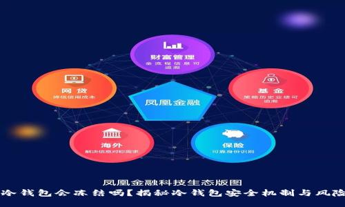 黑U冷钱包会冻结吗?揭秘冷钱包安全机制与风险隐患