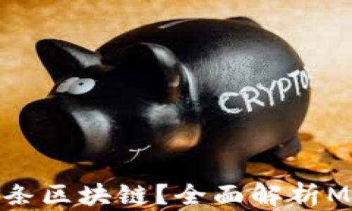 MetaMask是否只支持一条区块链?全面解析MetaMask的多链支持能力