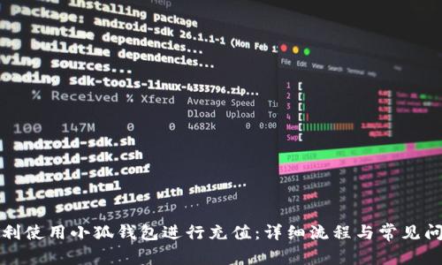 如何顺利使用小狐钱包进行充值：详细流程与常见问题解答