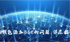 如何解决小狐钱包添加BSC的问题：详尽指南与常