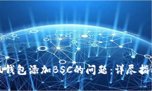 如何解决小狐钱包添加BSC的问题：详尽指南与常见问答