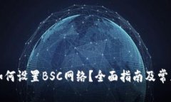 小狐钱包如何设置BSC网络？全面指南及常见问题