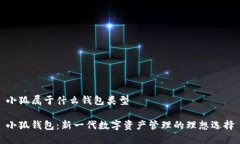 小狐属于什么钱包类型小狐钱包：新一代数字资