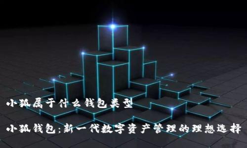 小狐属于什么钱包类型

小狐钱包：新一代数字资产管理的理想选择