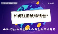 小狐钱包:热钱包还是冷钱包的深度解析