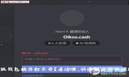 小狐钱包插件打不开？看这里，快速解决你的问题！