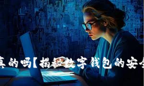 小狐钱包是真的吗?揭秘数字钱包的安全性与实用性