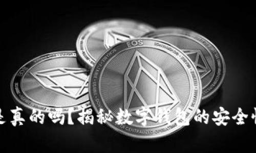 小狐钱包是真的吗?揭秘数字钱包的安全性与实用性