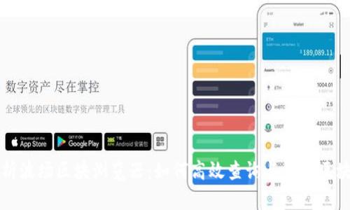 深入解析波场区块浏览器：如何高效查询与掌握区块链信息
