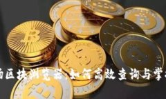 深入解析波场区块浏览器:如何高效查询与掌握