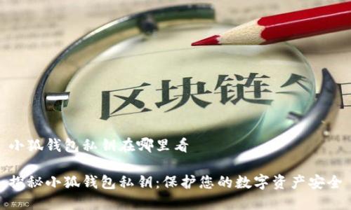 小狐钱包私钥在哪里看
探秘小狐钱包私钥:保护您的数字资产安全