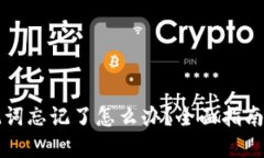 钱包的助记词忘记了怎么办?全面指南与实用技