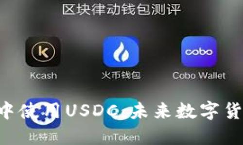 在MetaMask中使用USDC:未来数字货币的便捷选择